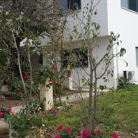 Kibbutz Nachshon Bed & Breakfast Bagian luar foto