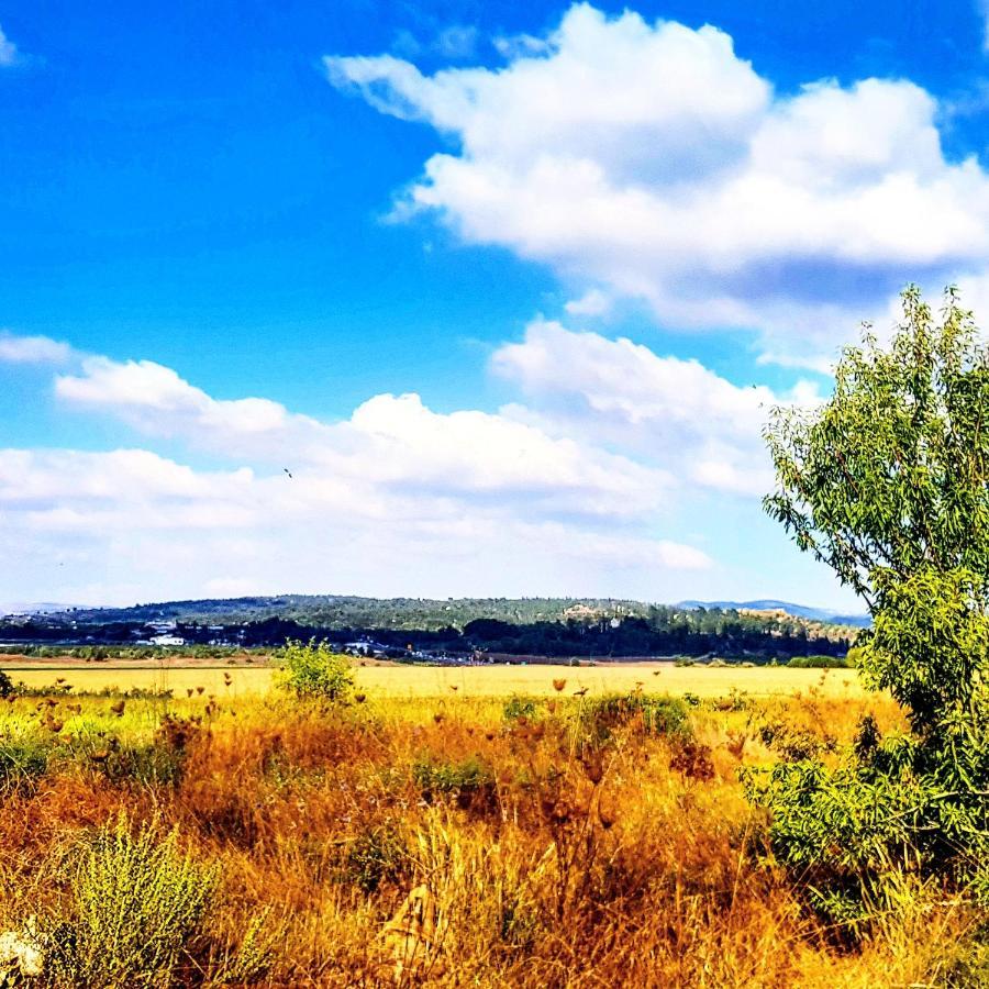 Kibbutz Nachshon Bed & Breakfast Bagian luar foto