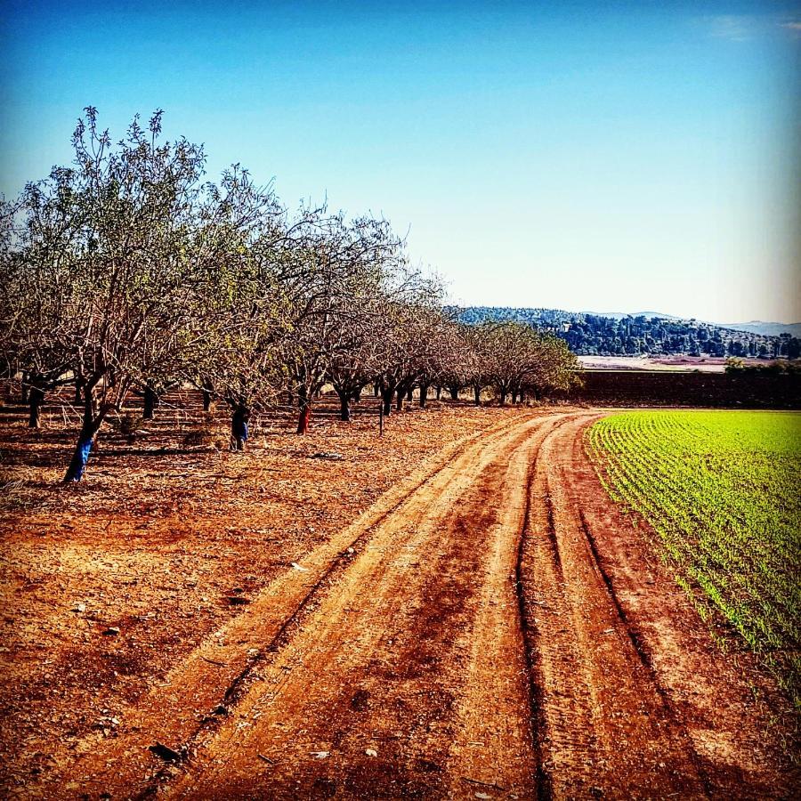 Kibbutz Nachshon Bed & Breakfast Bagian luar foto