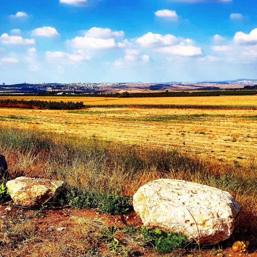 Kibbutz Nachshon Bed & Breakfast Bagian luar foto