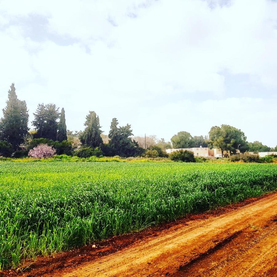 Kibbutz Nachshon Bed & Breakfast Bagian luar foto