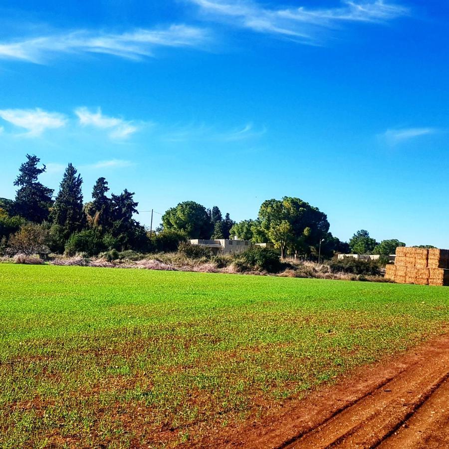 Kibbutz Nachshon Bed & Breakfast Bagian luar foto