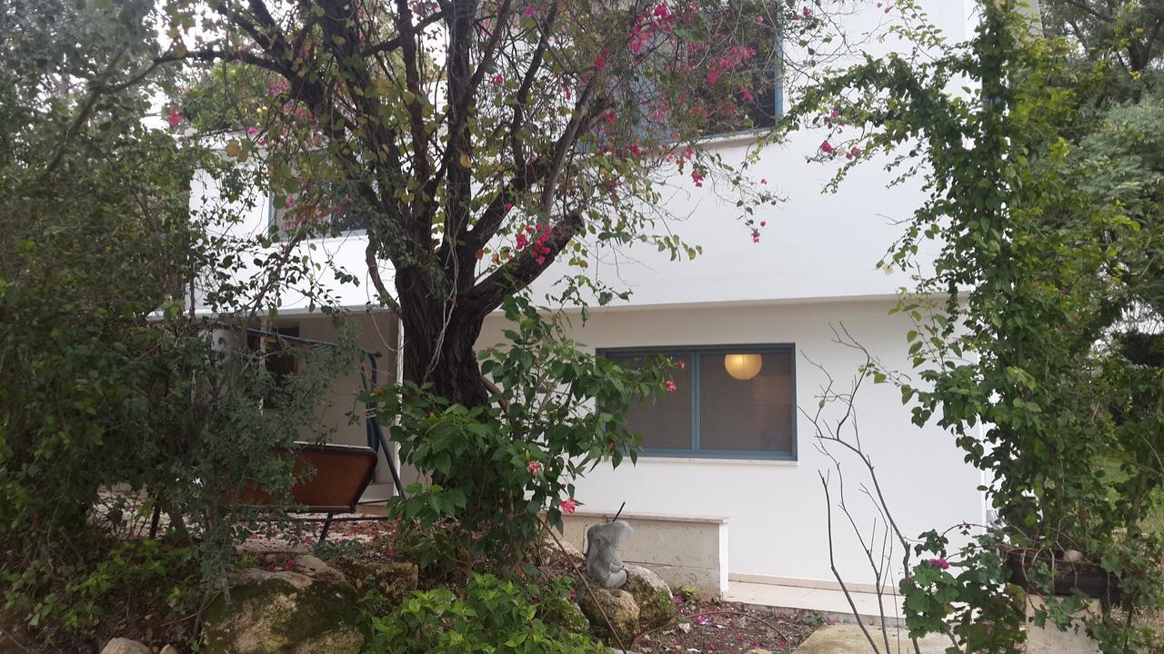 Kibbutz Nachshon Bed & Breakfast Bagian luar foto